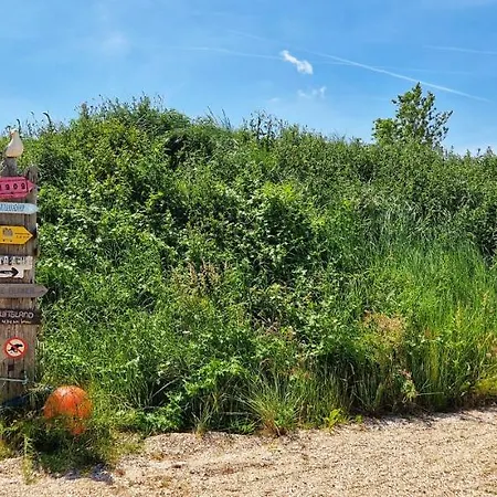 De Bunker Vanaf 18 Juni Sluit De Bunker Dom wakacyjny *