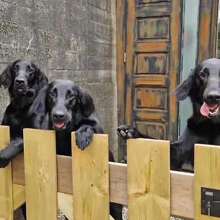 De Bunker ユリアーナドルプ